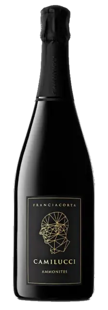 Camilucci Franciacorta Ammonites 75cl